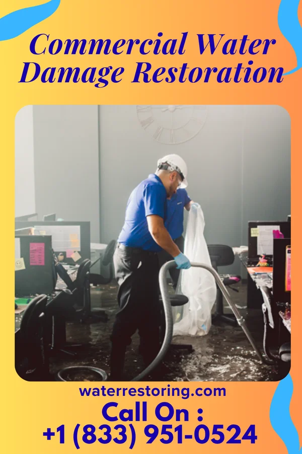 Commercial Water Damage Restoration in Burr Oak, IA