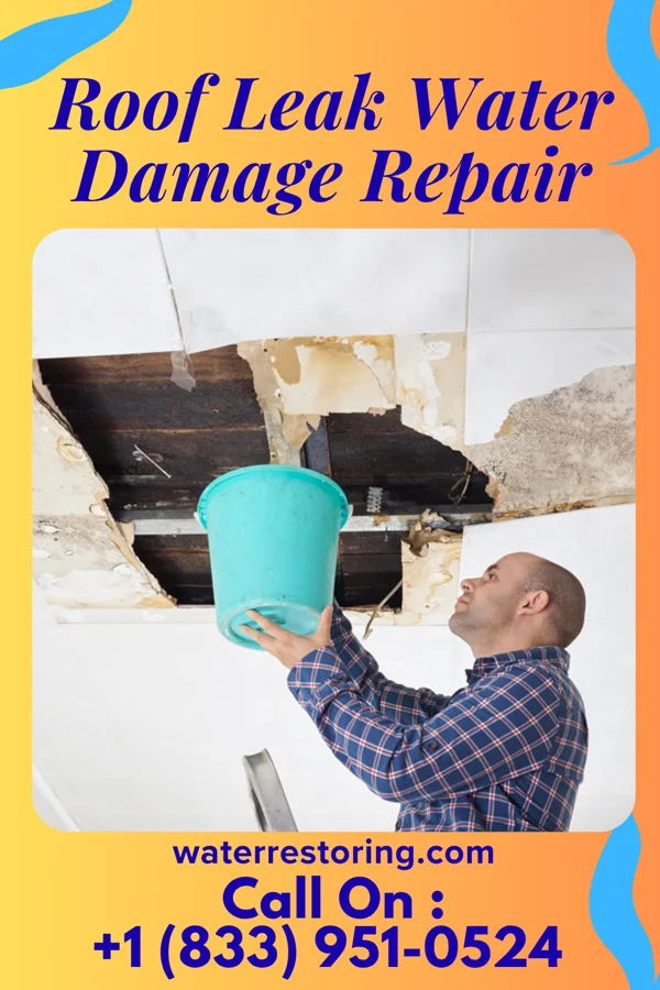 Roof Leak Water Damage Repair in Burr Oak, IA